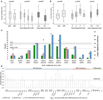 Increased Levels of Genomic Instability and Mutations in Homologous Recombination Genes in Locally Advanced Rectal Carcinomas